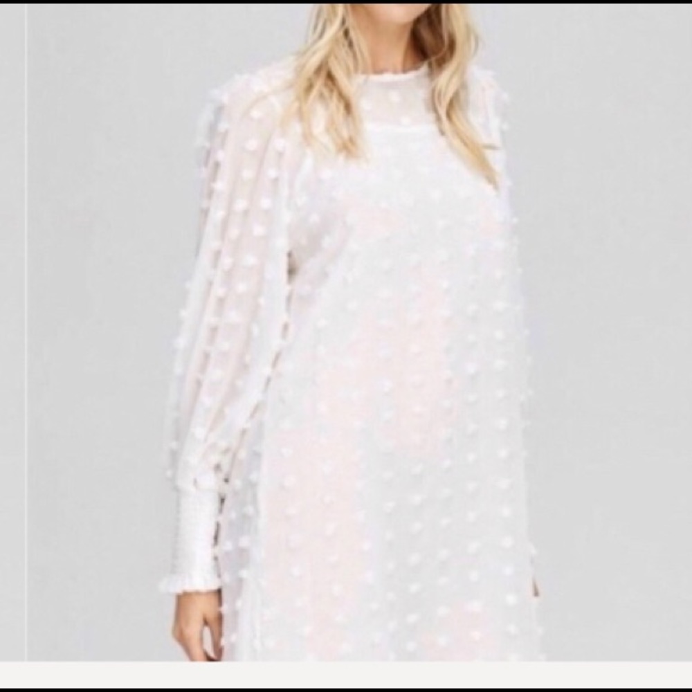 Dotted Semi Sheer Mini Dress with slip! Gorgeous!